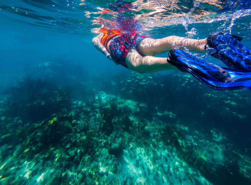 A snorkeler in the waters off Cancun