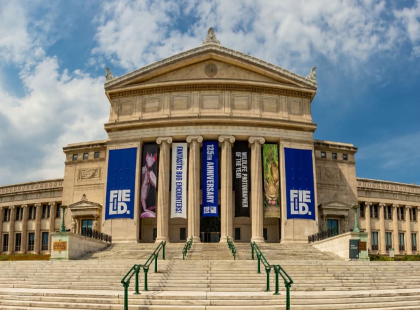 guide to the field museum