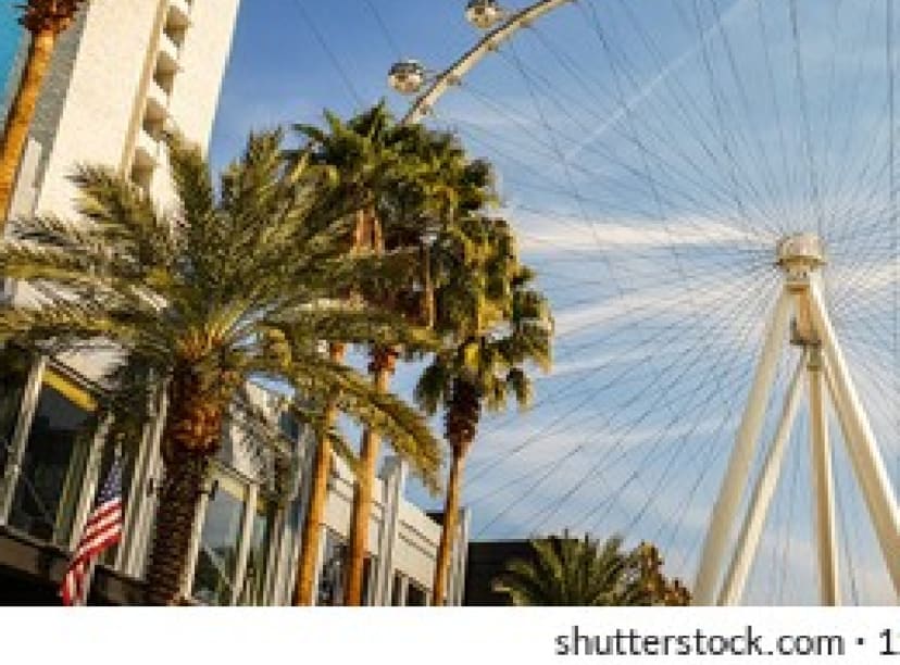 Palm trees, high roller and sunshine in Las Vegas