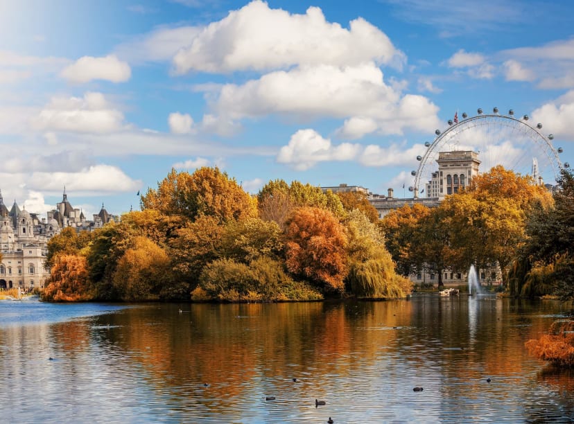 The London Eye from St James's Park