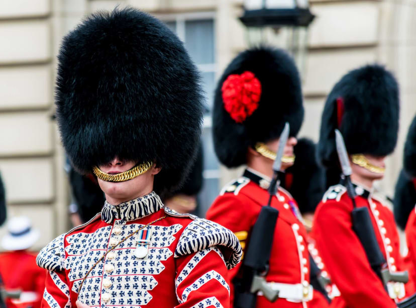 Soldiers in ceremonial dress outside of Buckingham Palace