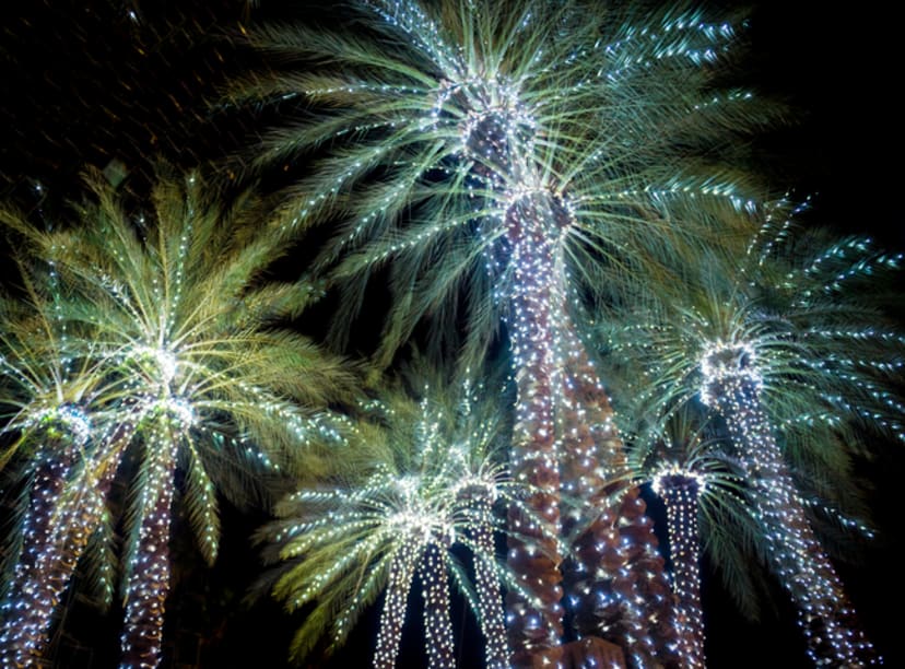 Palmeras navideñas en Miami