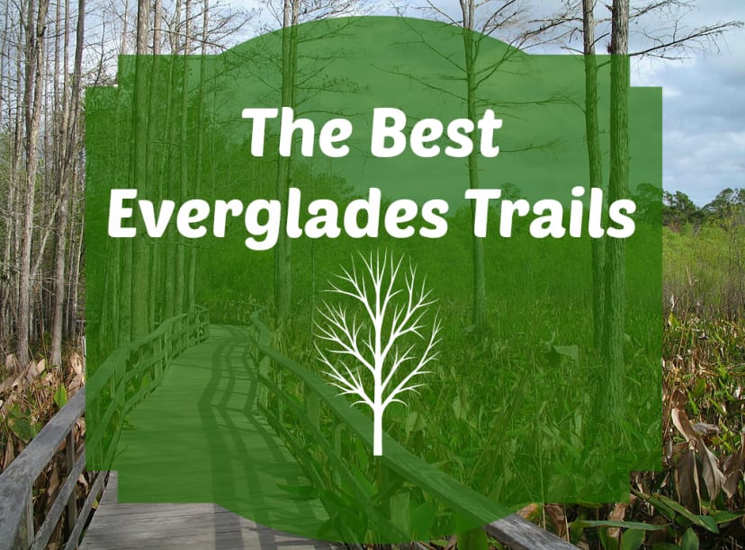 the best trails in the Everglades National Park