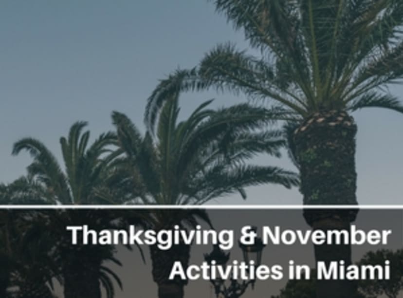 image-november-thanksgiving-in-miami.jpg