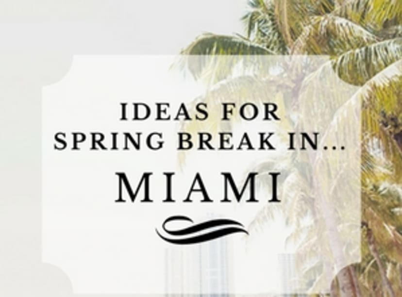 image-spring-break-in-miami.jpg