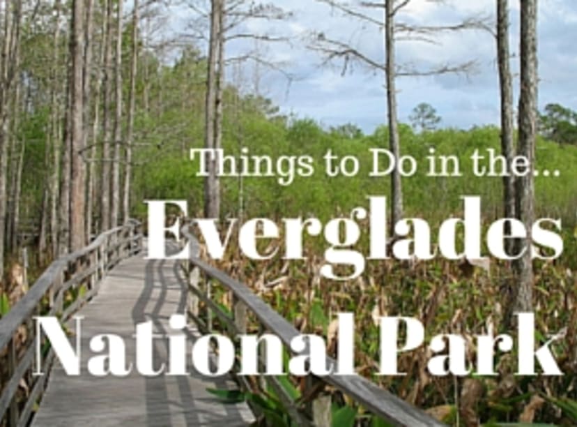 things-to-do-in-the-everglades-national-park.jpg