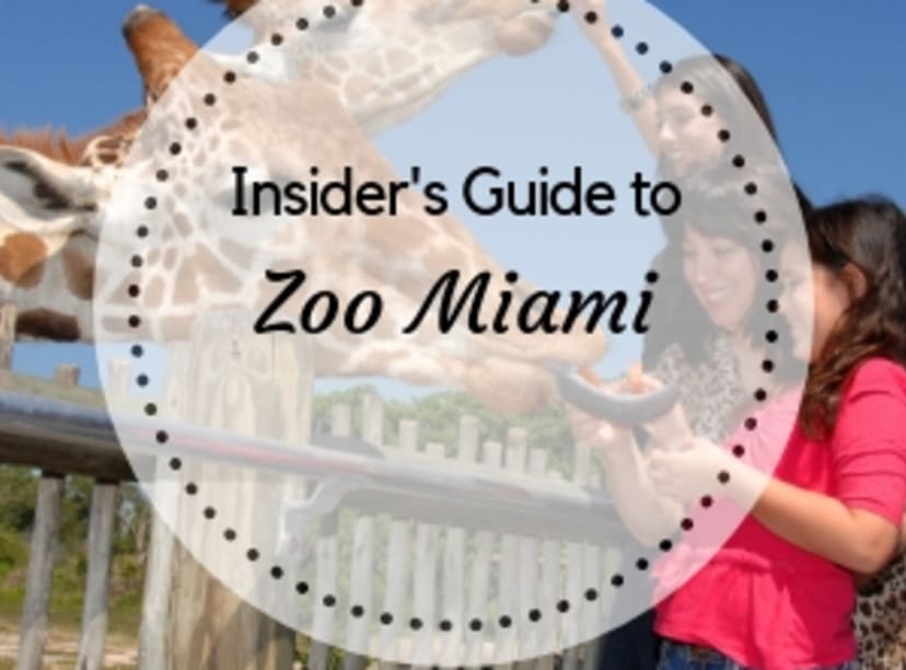 Insider's guide to visiting Zoo Miami - discount tickets and tips for visiting