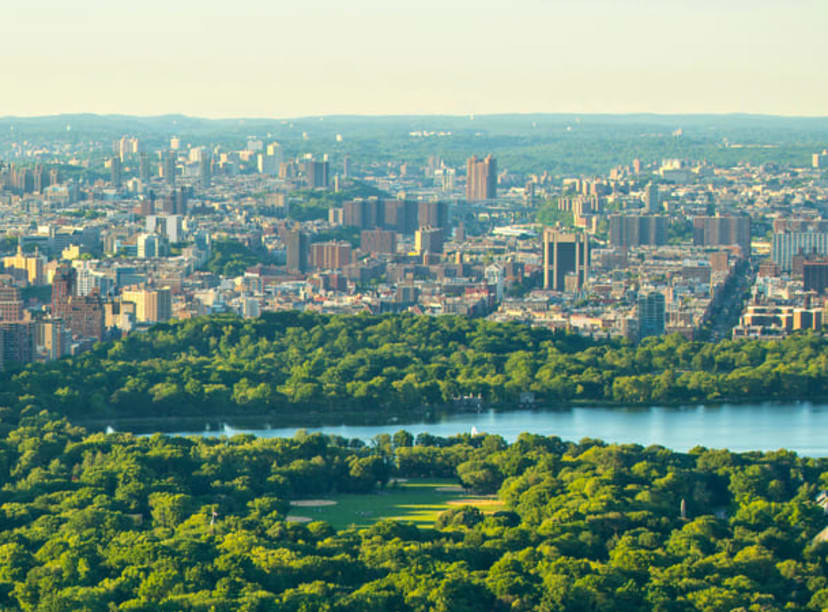 Aerial view of New York, Central Park