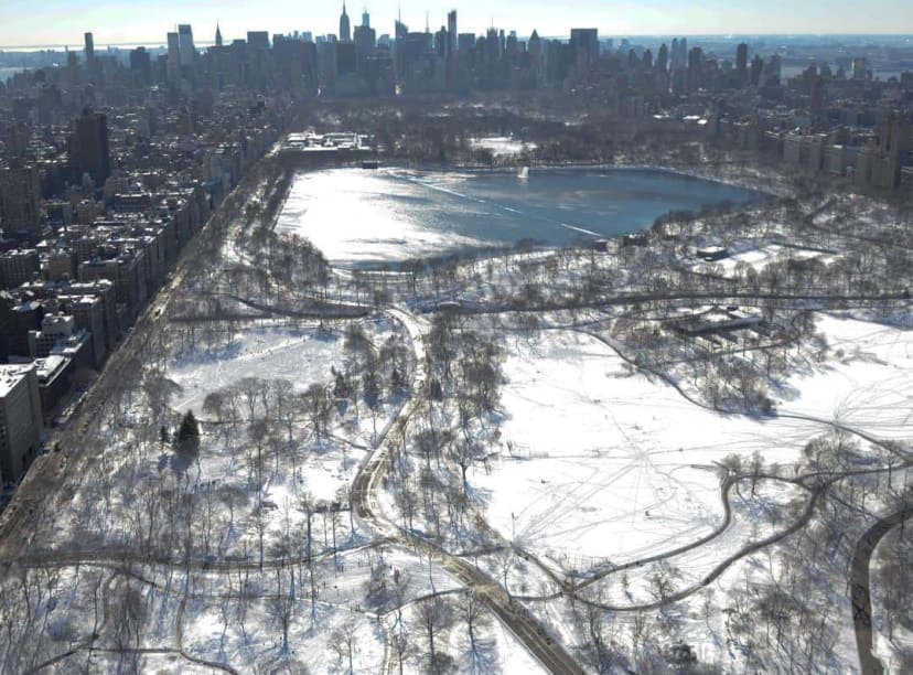 Central Park, Winter,