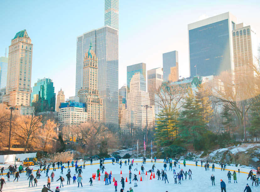 wollman rink