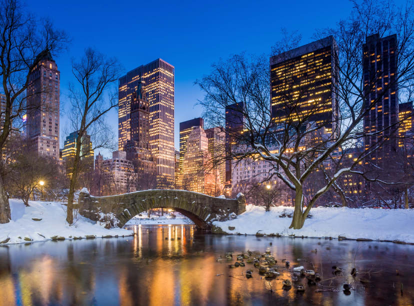 New York sous la neige