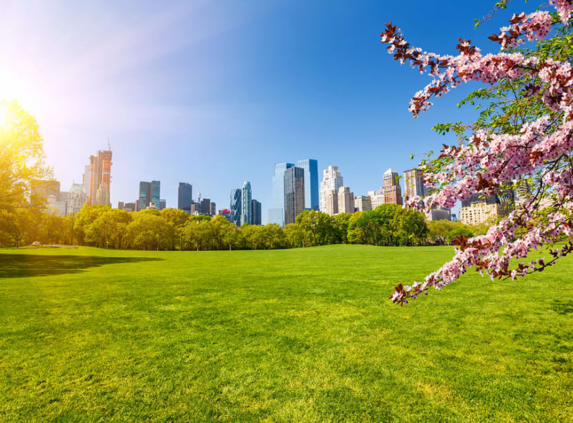 New-York-central-park.jpg