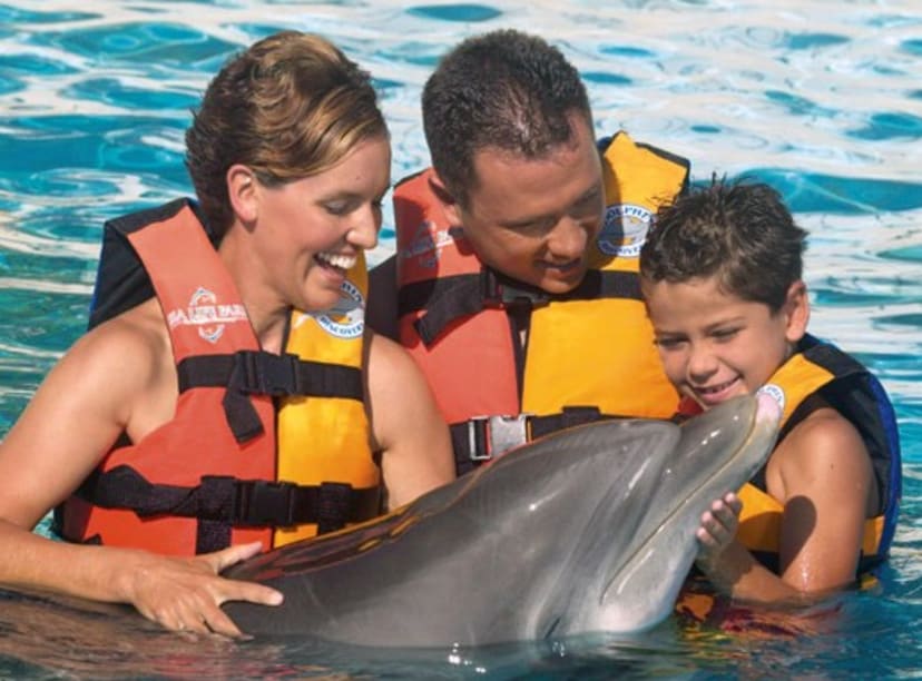 Dolphin-Encounter-by-Sea-Life-Park-3-e1456154451123.jpg