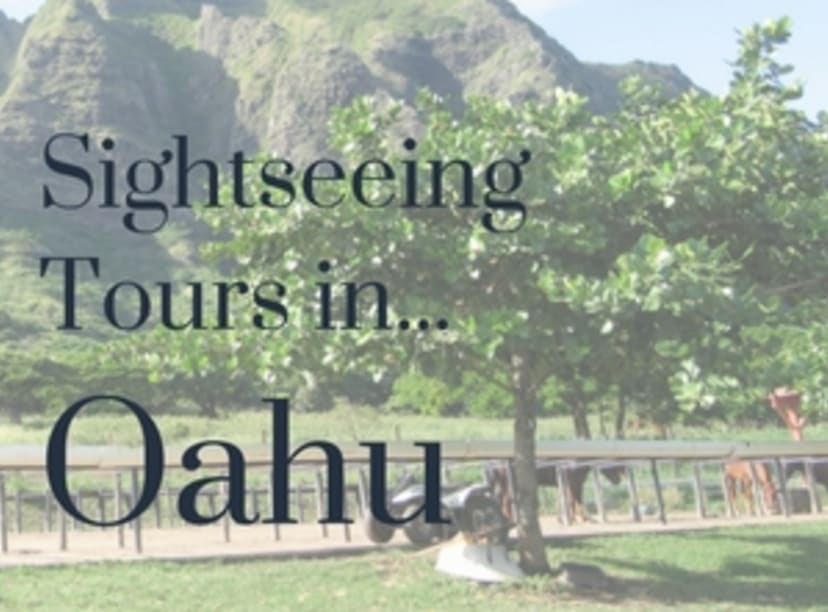 image-sightseeing-tours-in-oahu.jpg