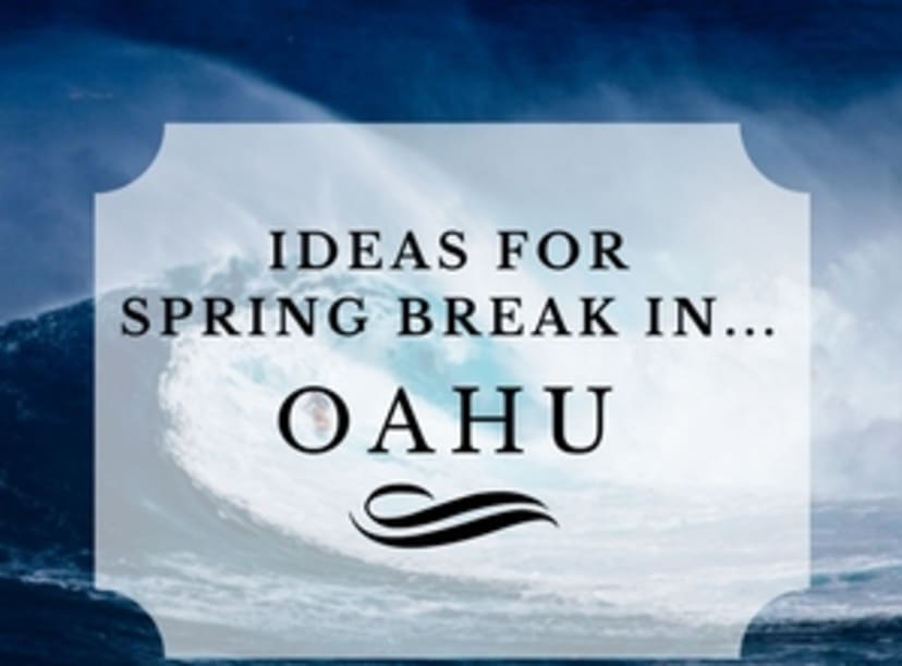 image-spring-break-in-oahu.jpg