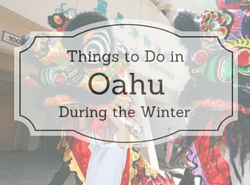 oahu-winter-activities.jpg