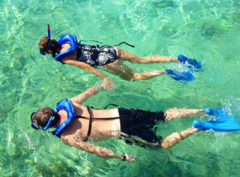 snorkeling-buddies.jpg