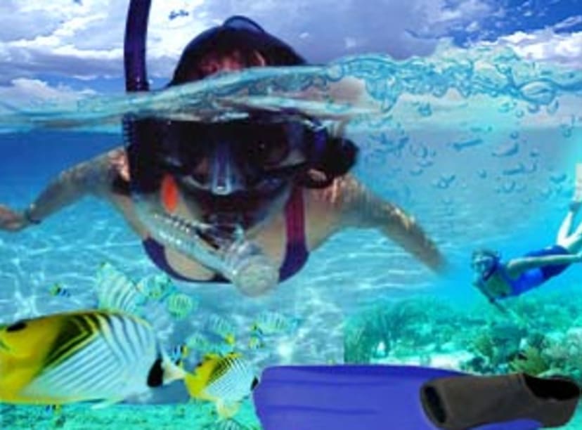 snorkeling1.jpg