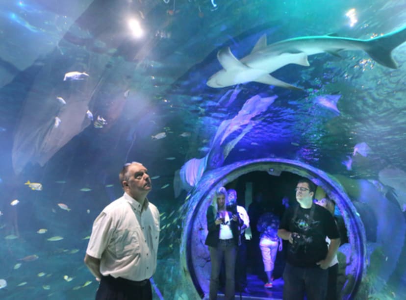 sea-life-orlando-aquarium-360-tank-e1456762559200.png