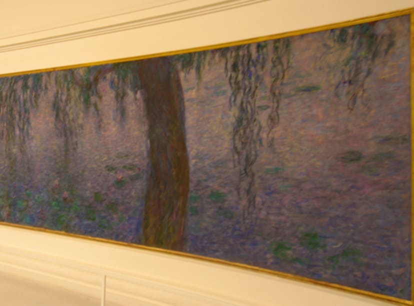 monet Nymphéas