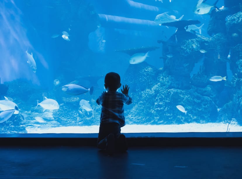 Paris Aquarium