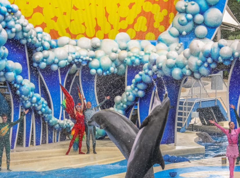 guide to seaworld san antonio