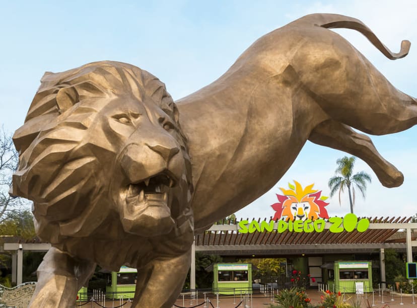 Bronze lion statue at the entrance to San Diego Zoo