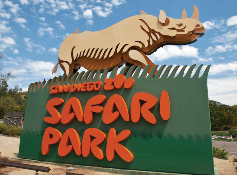 Safari Park Teaser