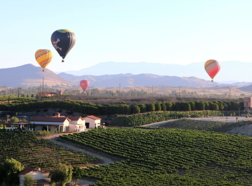 Hot-air balloons flying over a California vineyard