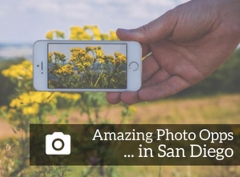 great-places-to-take-pictures-in-san-diego-image.jpg