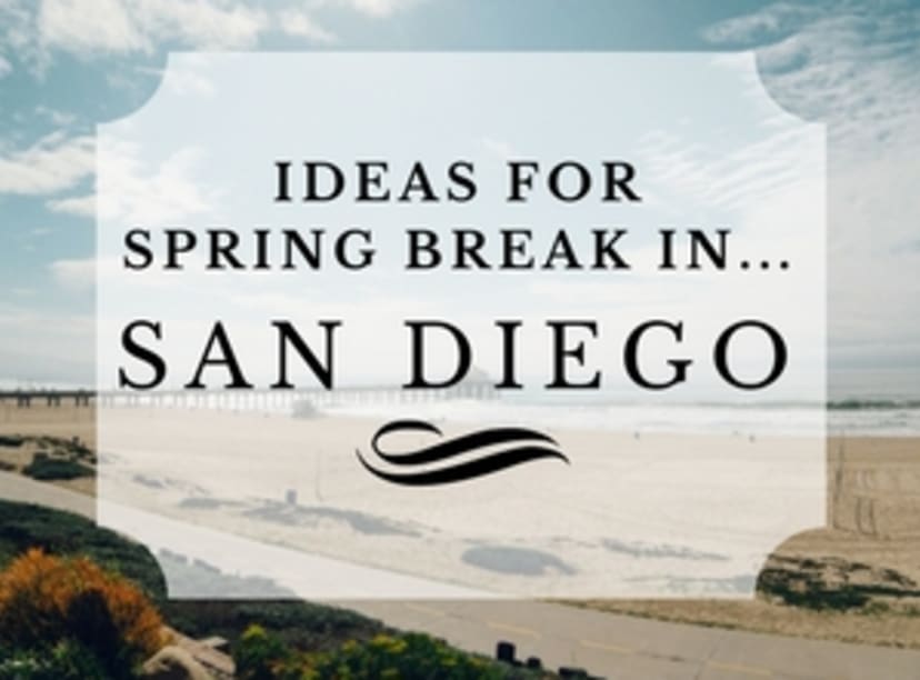 image-spring-break-in-san-diego.jpg