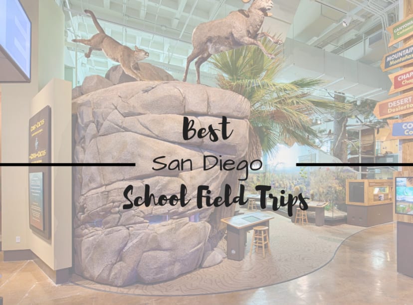 top attractions for a san diego school field trip