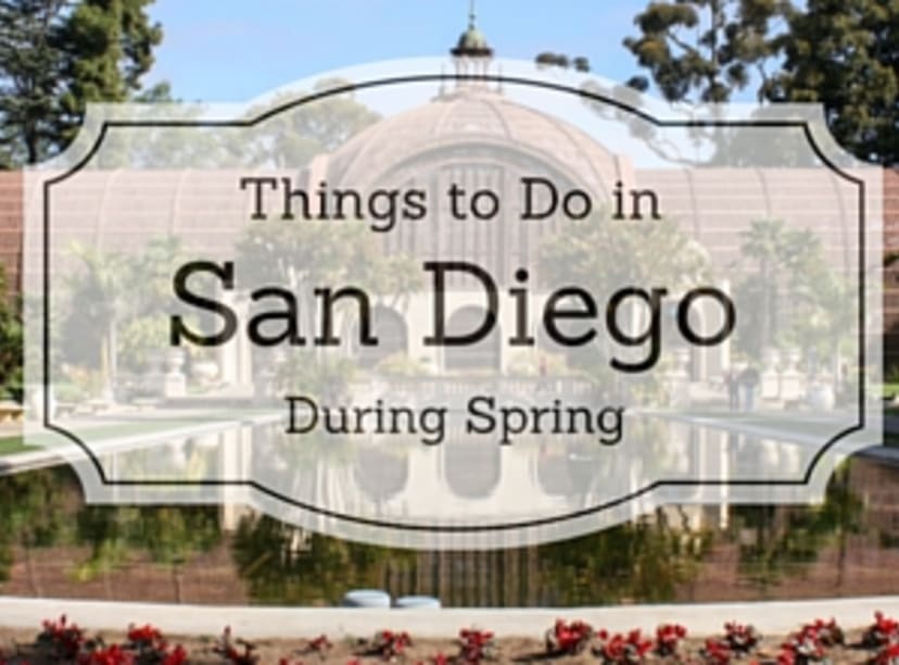 things-to-do-in-san-diego-in-spring.jpg