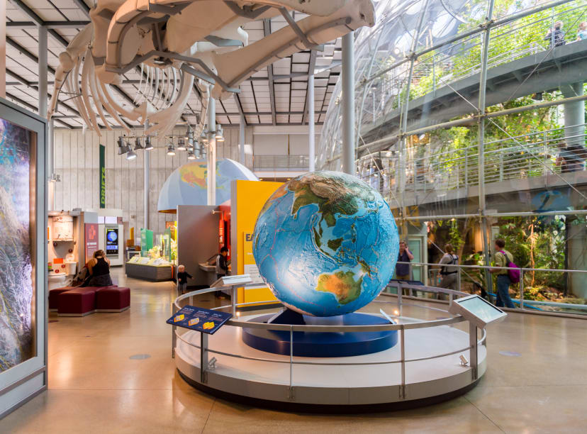 L'Académie des Sciences à San Francisco