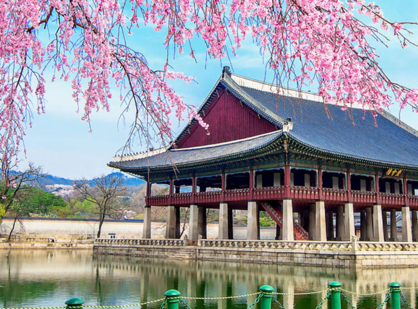 Seoul's Gyeongbokgung Palace in spring, with pink cherry blossoms in the foreground.
