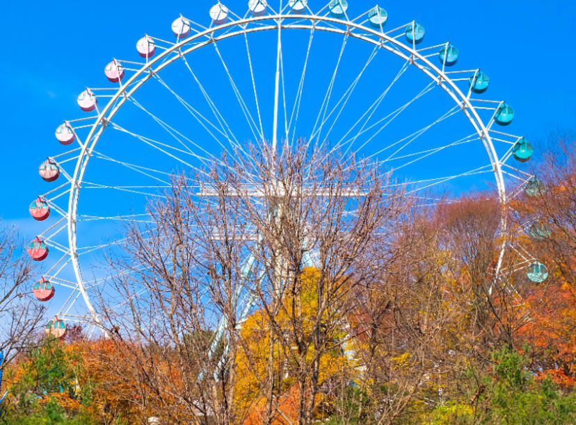 Ferris wheel in Seoul, South Korea