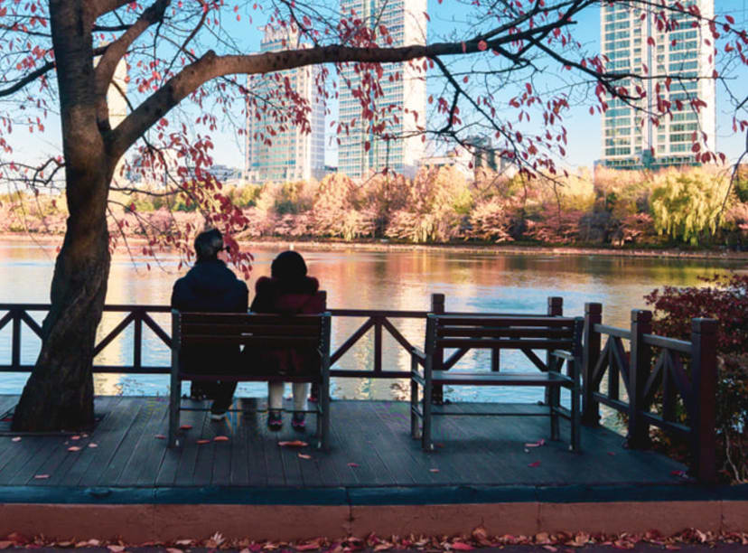 Couple on a bench admiring the view beneath autumn leaves at Seokchon Lake Park, Seoul.