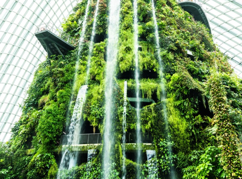 Relaxing Things to do in Singapore