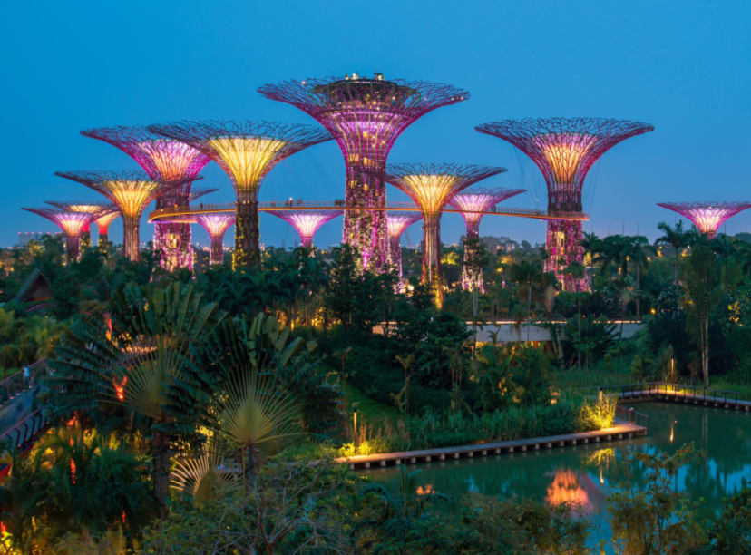 Singapore's Supertrees lit up pink in the sunset