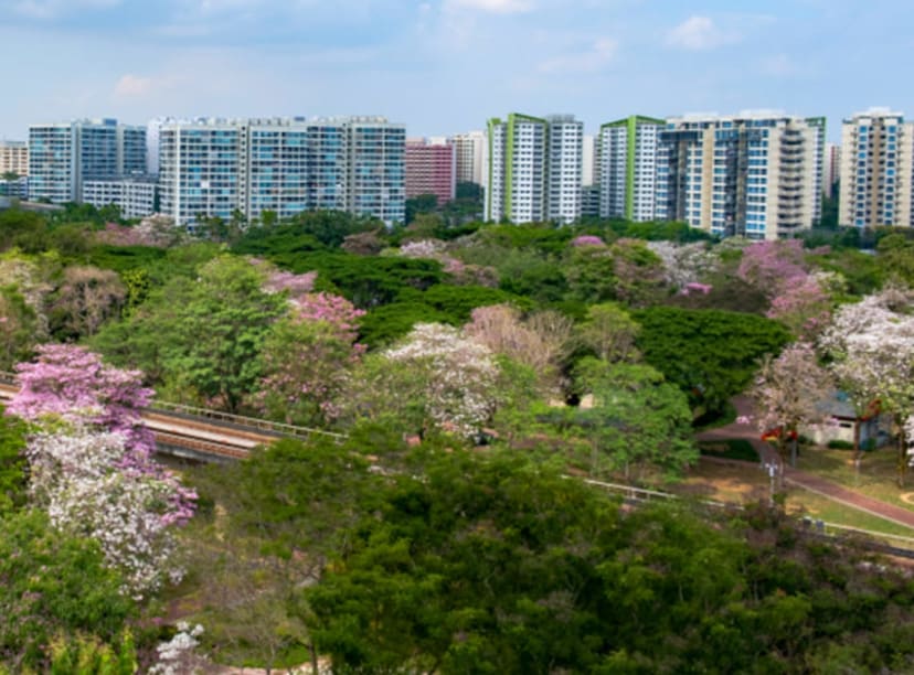 Skyline of Singapore's Tampines neighborhood.