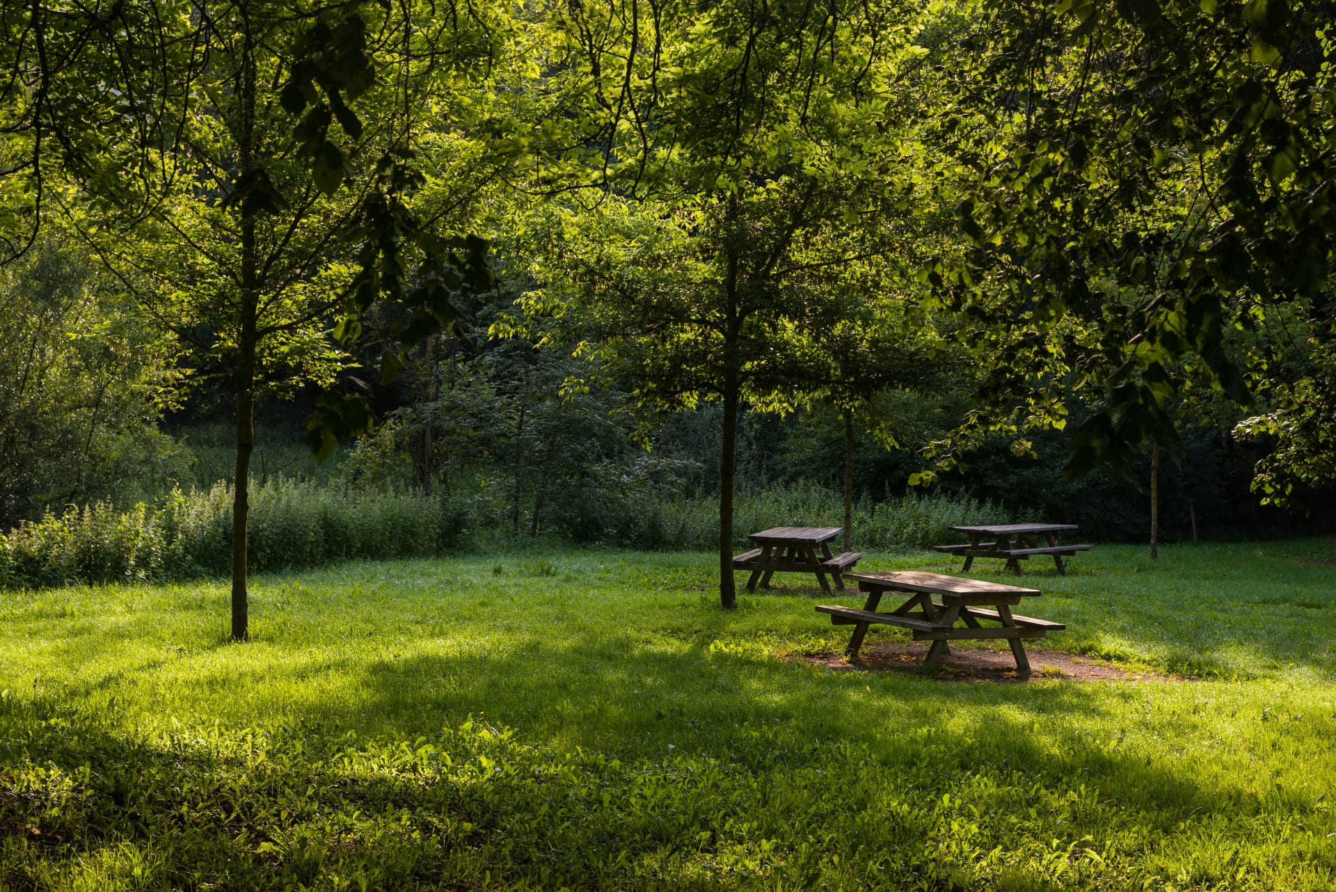 Aviara Community Park 