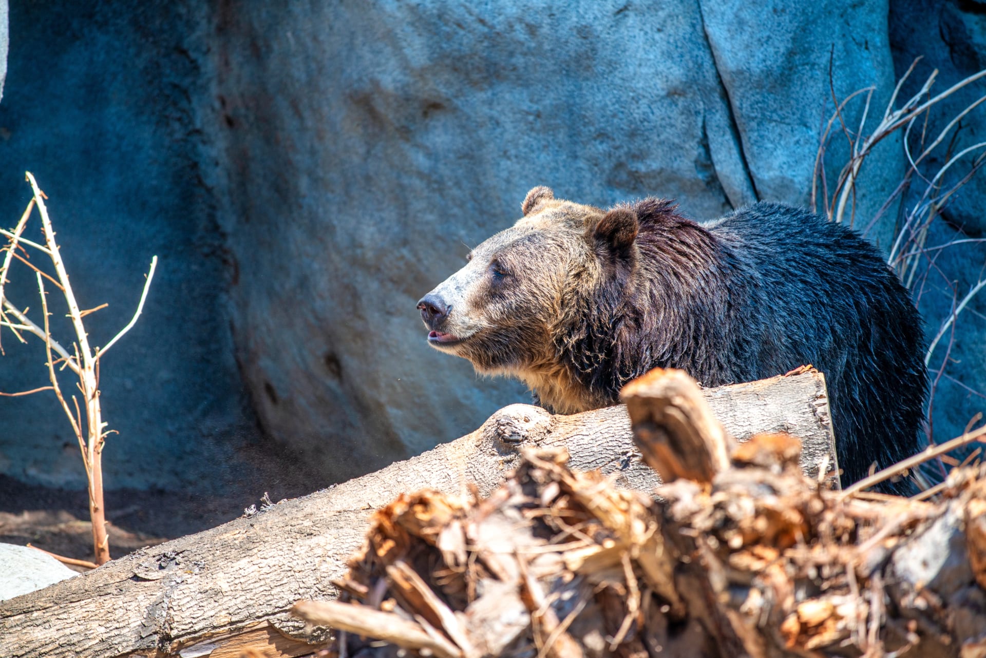 San Diego Zoo