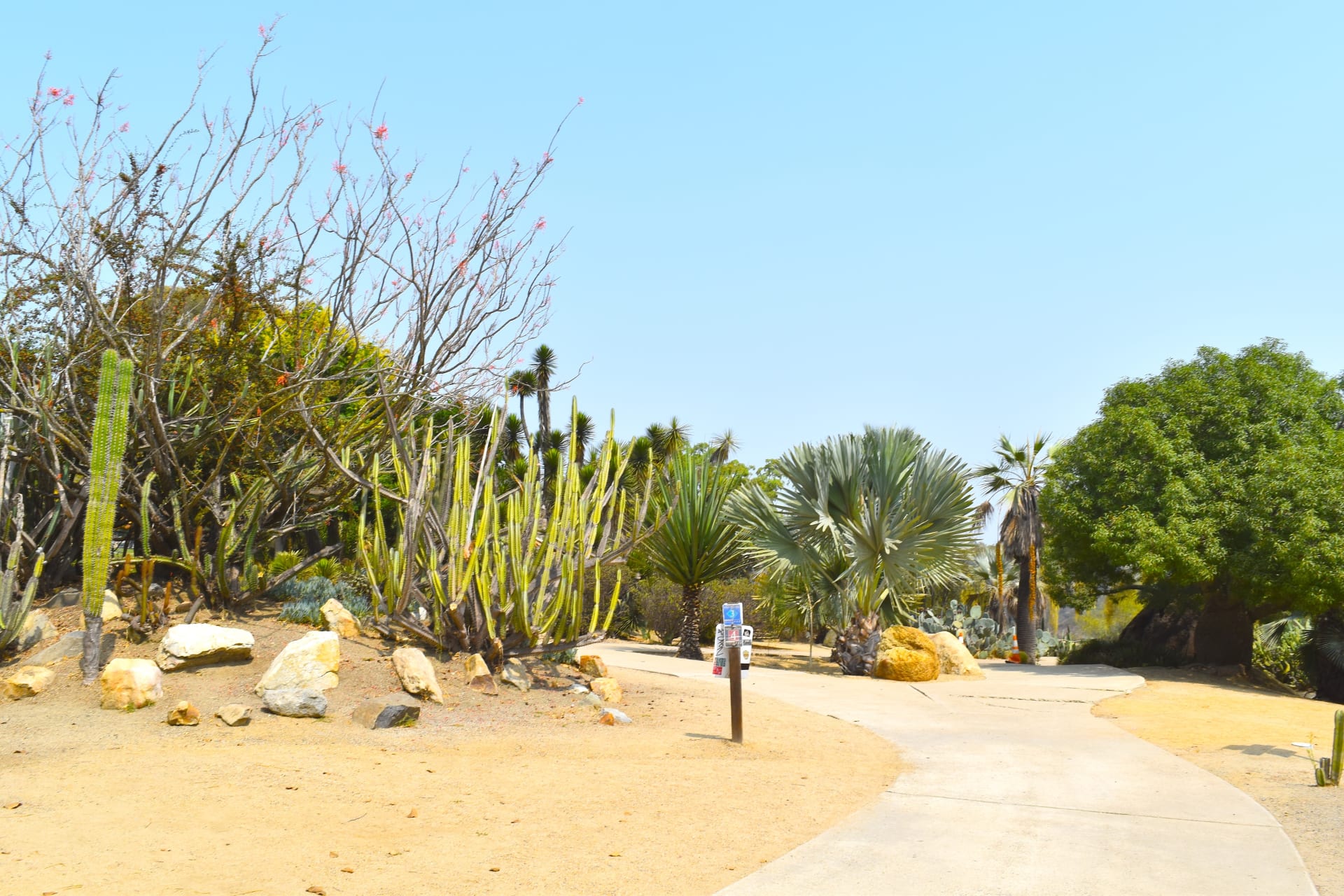 Balboa Park Hiking Trails 