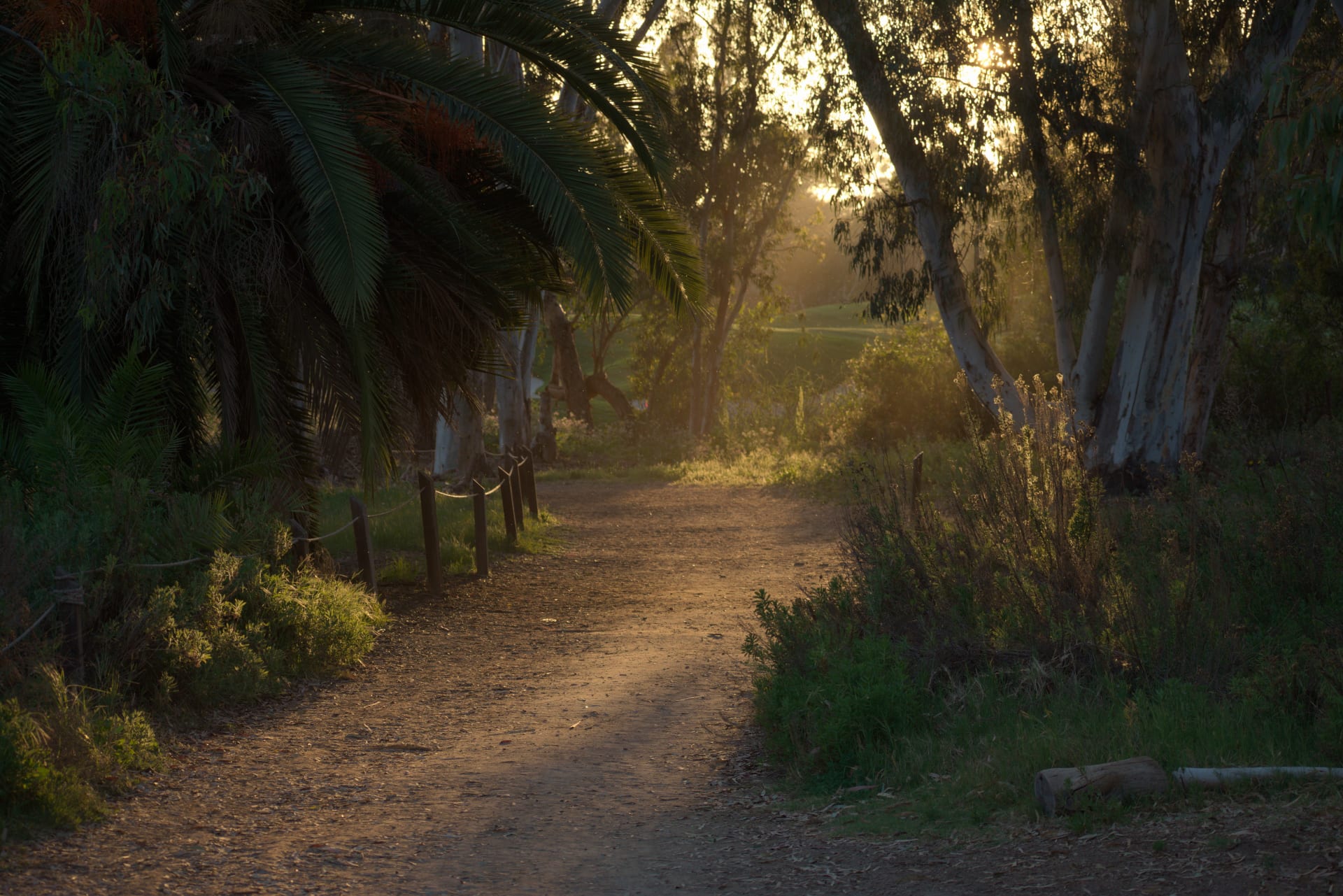 Batiquitos Lagoon Trail 