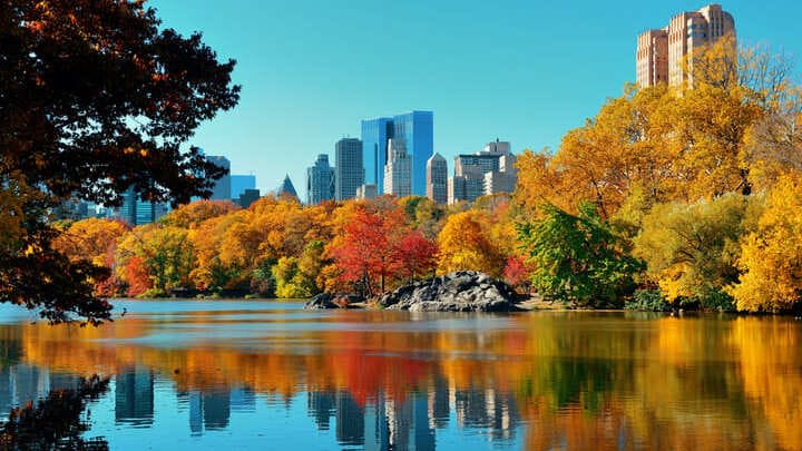 Central Park