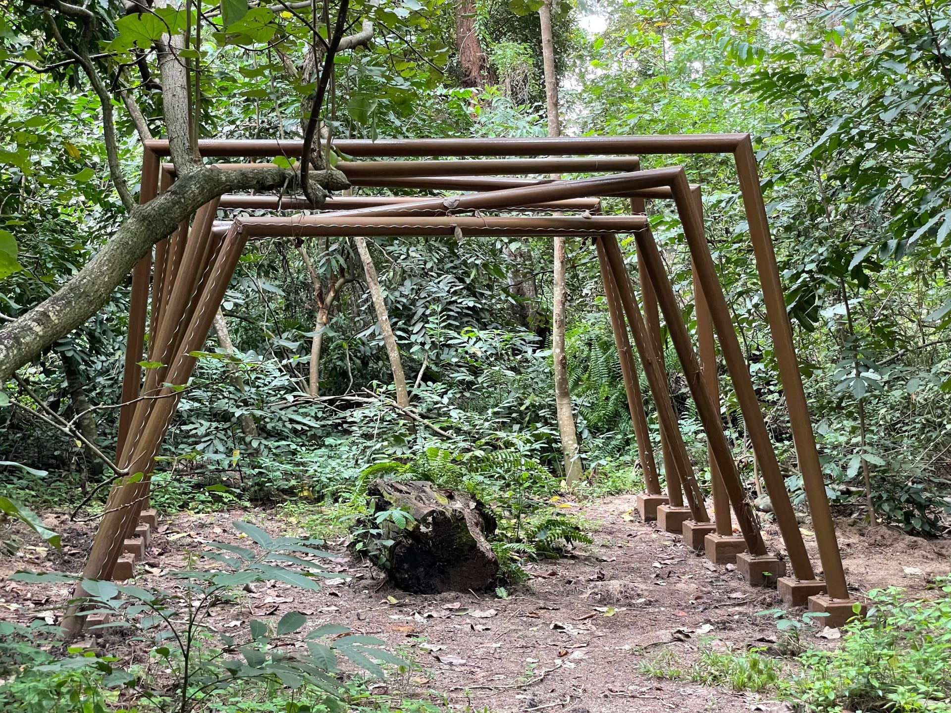 コニーアイランド・クリーク・ネイチャートレイルを散策しましょう