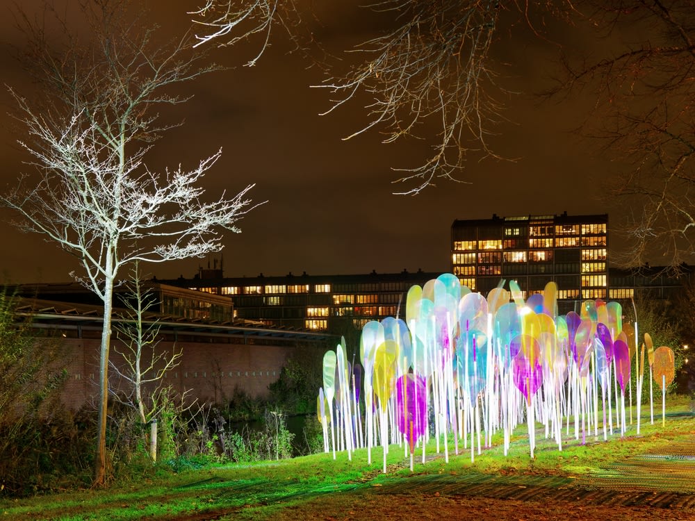 Festival des lumières, Nouvel an à Amsterdam, sommaire de la Saint-Sylvestre