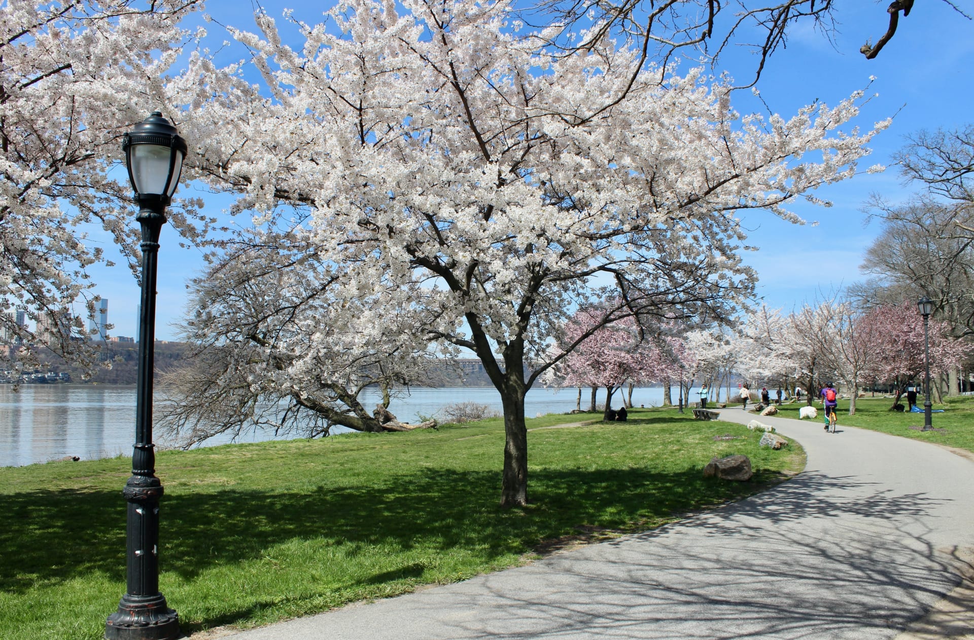 Harlem River Greenway