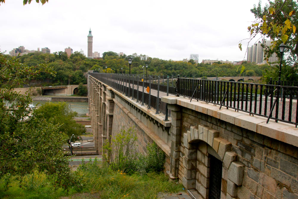 Curiosità sul Bronx 