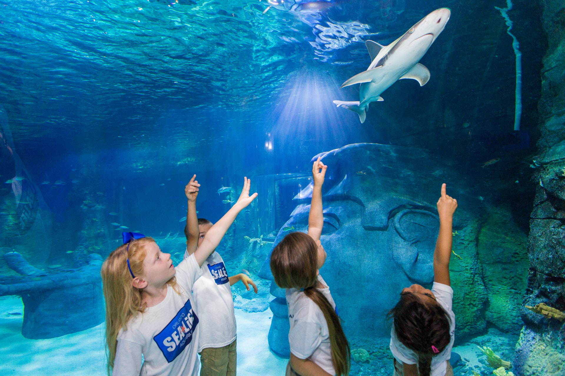 two-cute-kids-watching-variety-colorful-aquarium